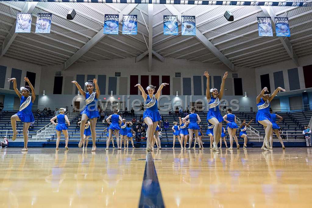 Blue Belles Halftime 10.jpg